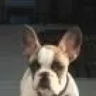 Hank