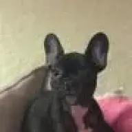 PennyLoveNugget