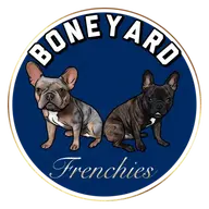 Boneyard Frenchies