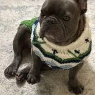 LittleBoyBlue