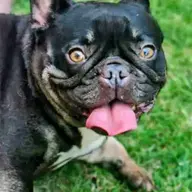 maddy