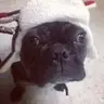 nikkiLazaro