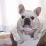 Debra