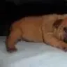 Tricks3