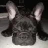gianolrac