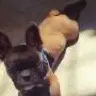 Mlarias93