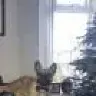 Carlyxclaude