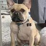 Rusty’s Owner