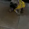 zbm