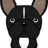 Flako