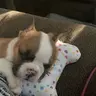 Diesel'sMom