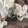 Max&mia