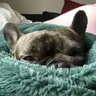 Boogii&Bex
