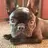 LoveOurFrenchie