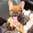 PennytheFrenchie