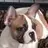 Frenchie007