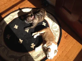 Boys sharing space