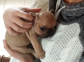 4 week photo update for Lily