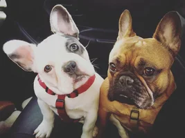Banksy and Aiko