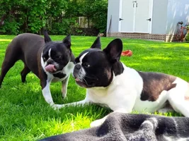 Fun in the sun
