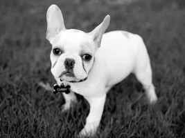 Hello everybody!!!