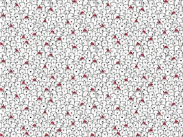 Find the Frenchie