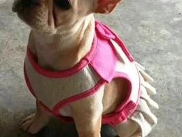 Rosie