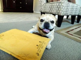 Rocco gets a gift
