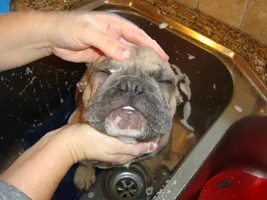 Bath time!