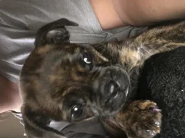My Little Baby
