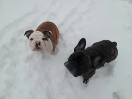 Double Trouble