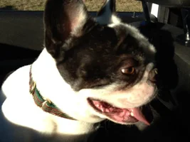Photos of my little man, LEO