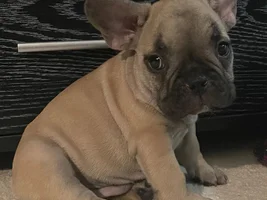 Odd head shape/Hydrocephaly?