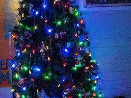 Let's see that tree!