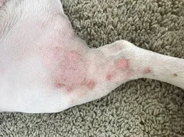 Skin Problems!