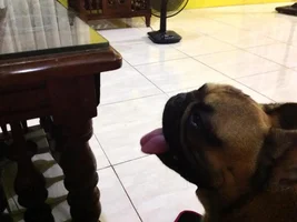 Ccino's facets :)