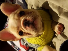 Newbie in Texas