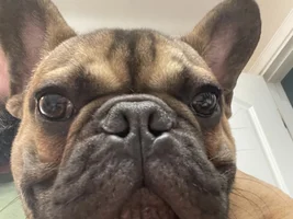 Hello