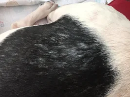 Allergy help please