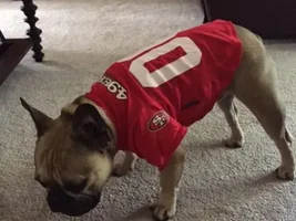 Jax and his new 49ers jersey