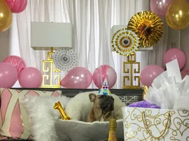 Maple Turned 1 Today