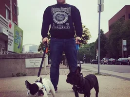 Crazy Frenchie Lady