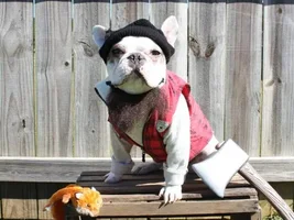 Rootbeers Halloween costume