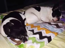 I just want to curl up between them!