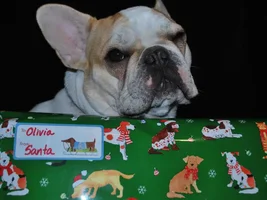 4 Paw Secret Santa Sharing Thread 2014