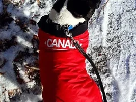 All ready for the cold weather