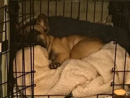 Rusty- help please!!