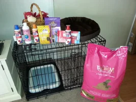Puppy Training Potty Apartment