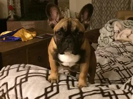 Well hello there