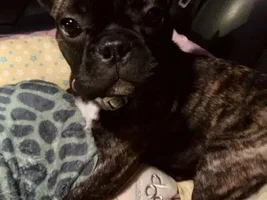 Milfred ♾ Millie new to FBN
